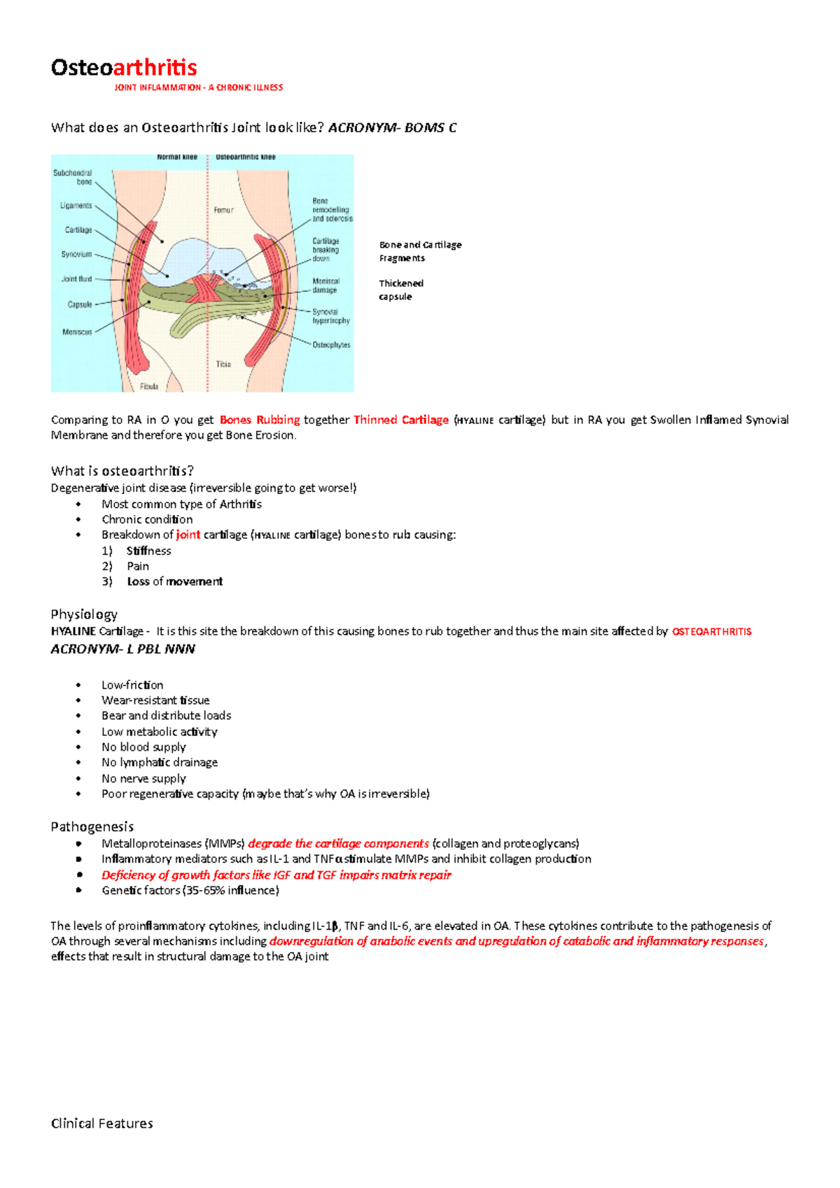 Osteoarthritis (Notes) - Osteoarthritis JOINT INFLAMMATION - A CHRONIC ...