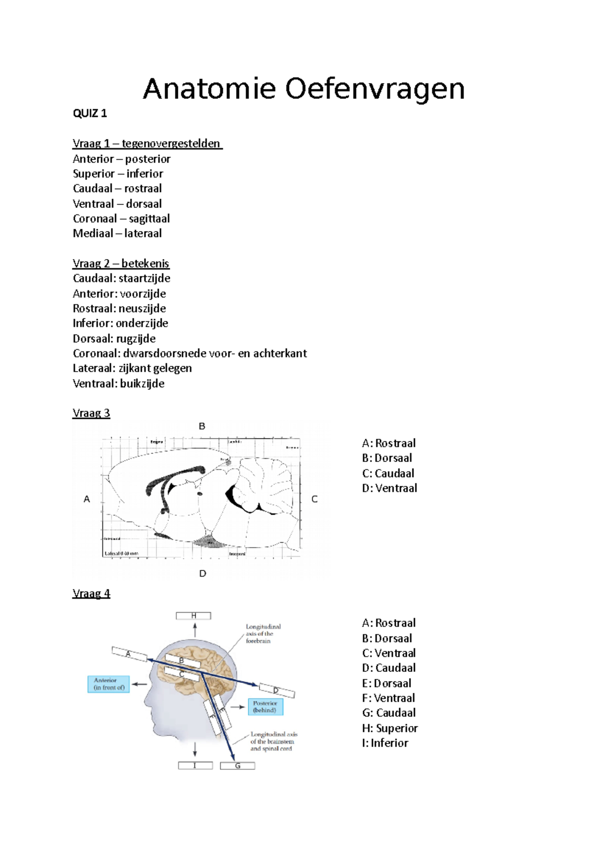 Anatomie Oefenvragen Uitgewerkt - Anatomie Oefenvragen QUIZ 1 Vraag 1 ...