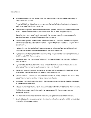 Cell bio test 3 notes - exam 3 study guide - Ch. 7 DNA vs RNA RNA has ...