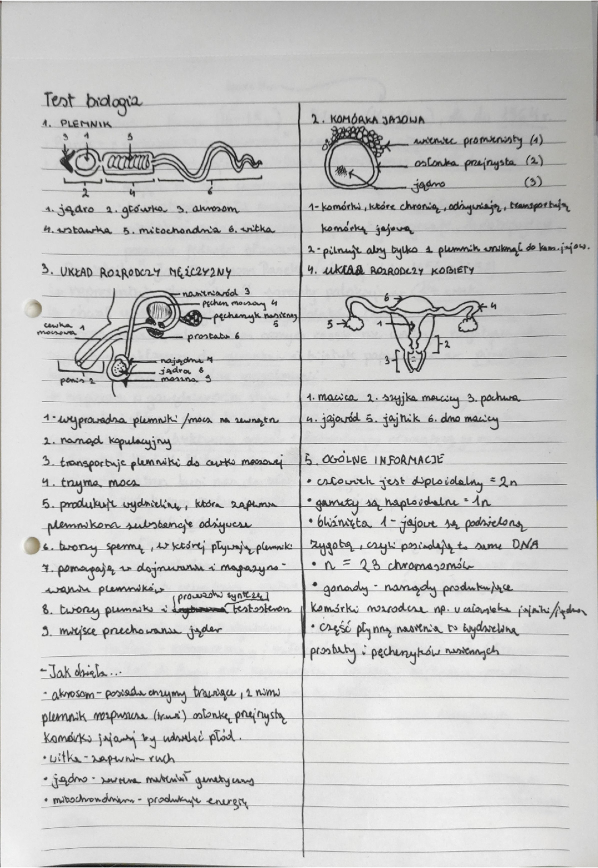 Sprawdzian Biologia Układ Rozrodczy Gimnazjum Wsip