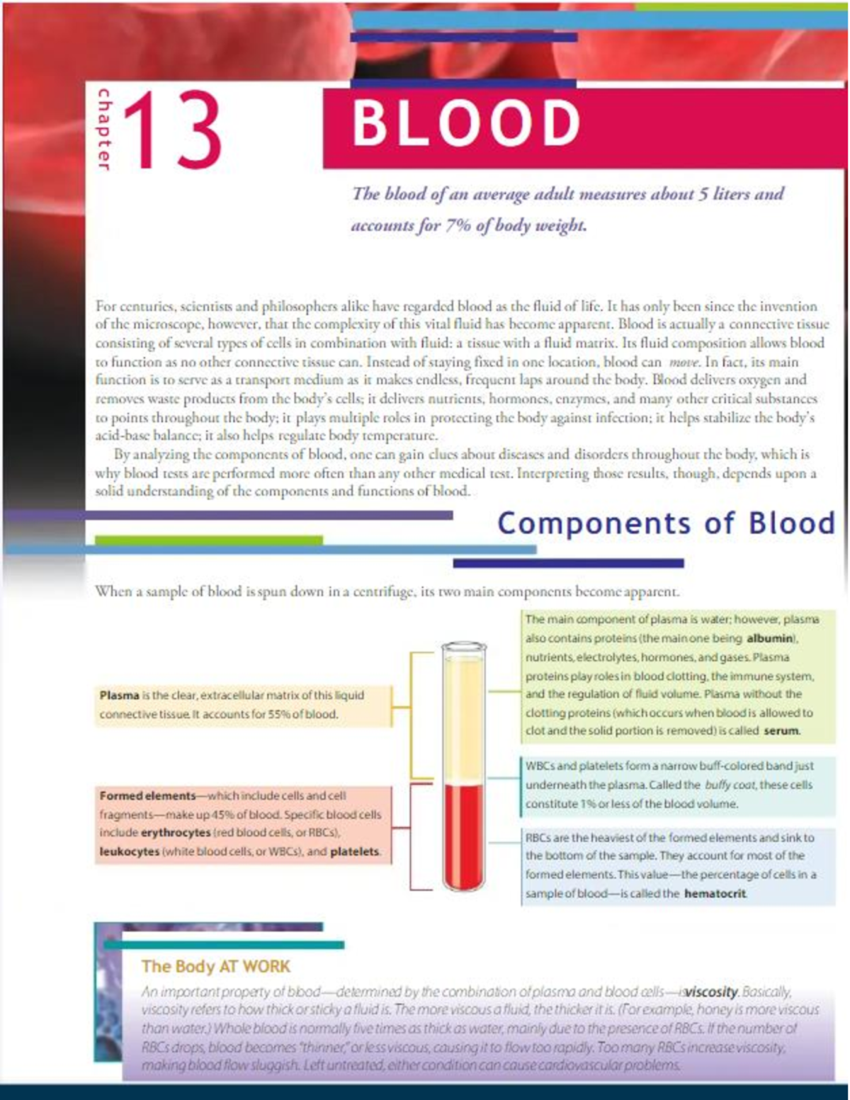 Blood and cardiovascular system - Anaphy - Studocu