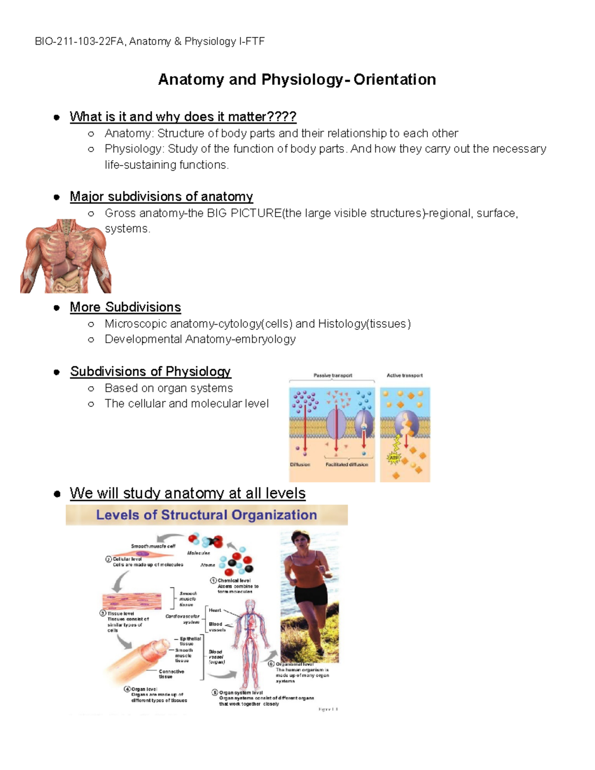 M1 Anatomy and Physiology- Orientation Powerpoint - Anatomy and ...