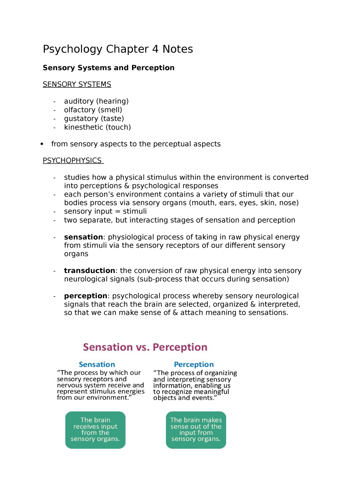 Psychology Chapter 4 Notes - Psychology Chapter 4 Notes Sensory Systems ...