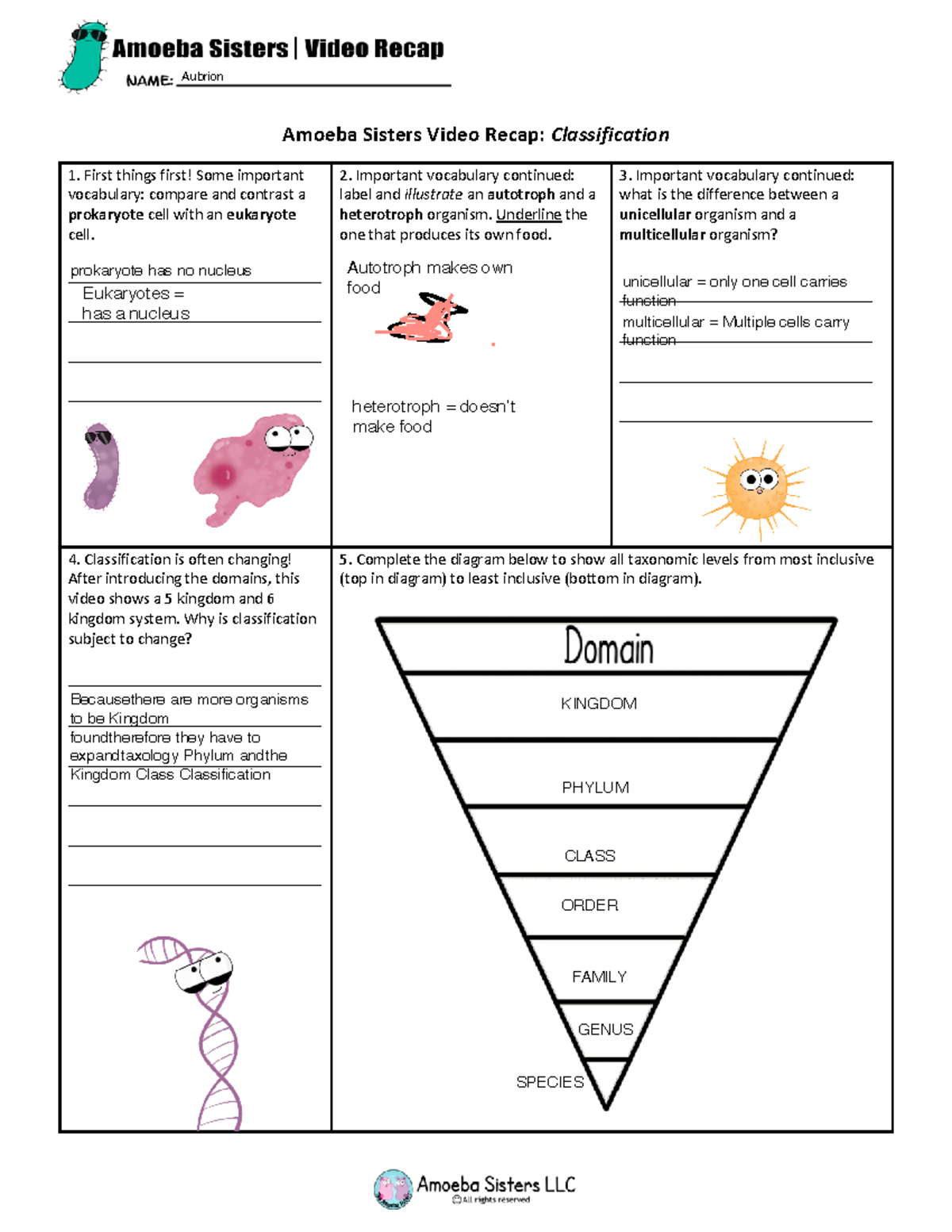 Ameoba Sisters Classification Video Recap - Amoeba Sisters Video Recap ...