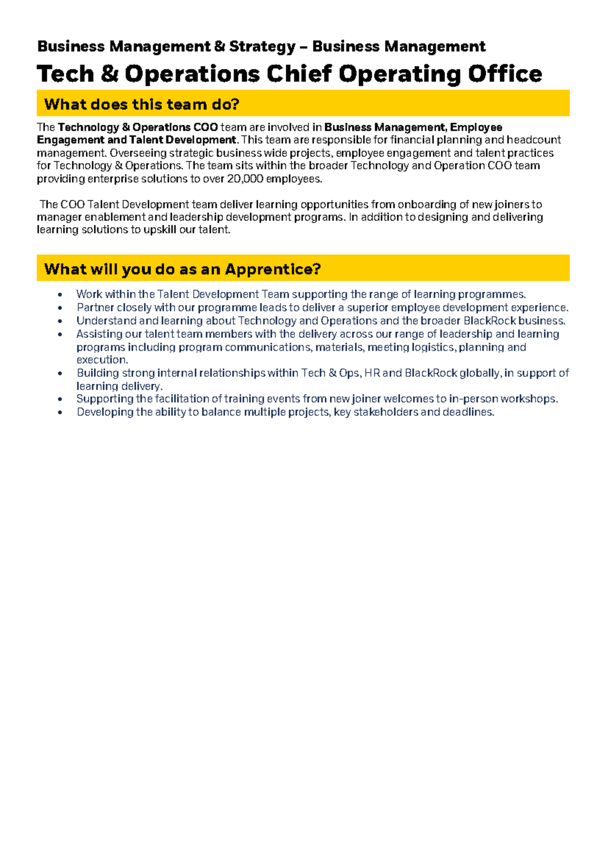 Black Rock's 2024 Apprenticeship Programme - Tech & Operations Chief ...
