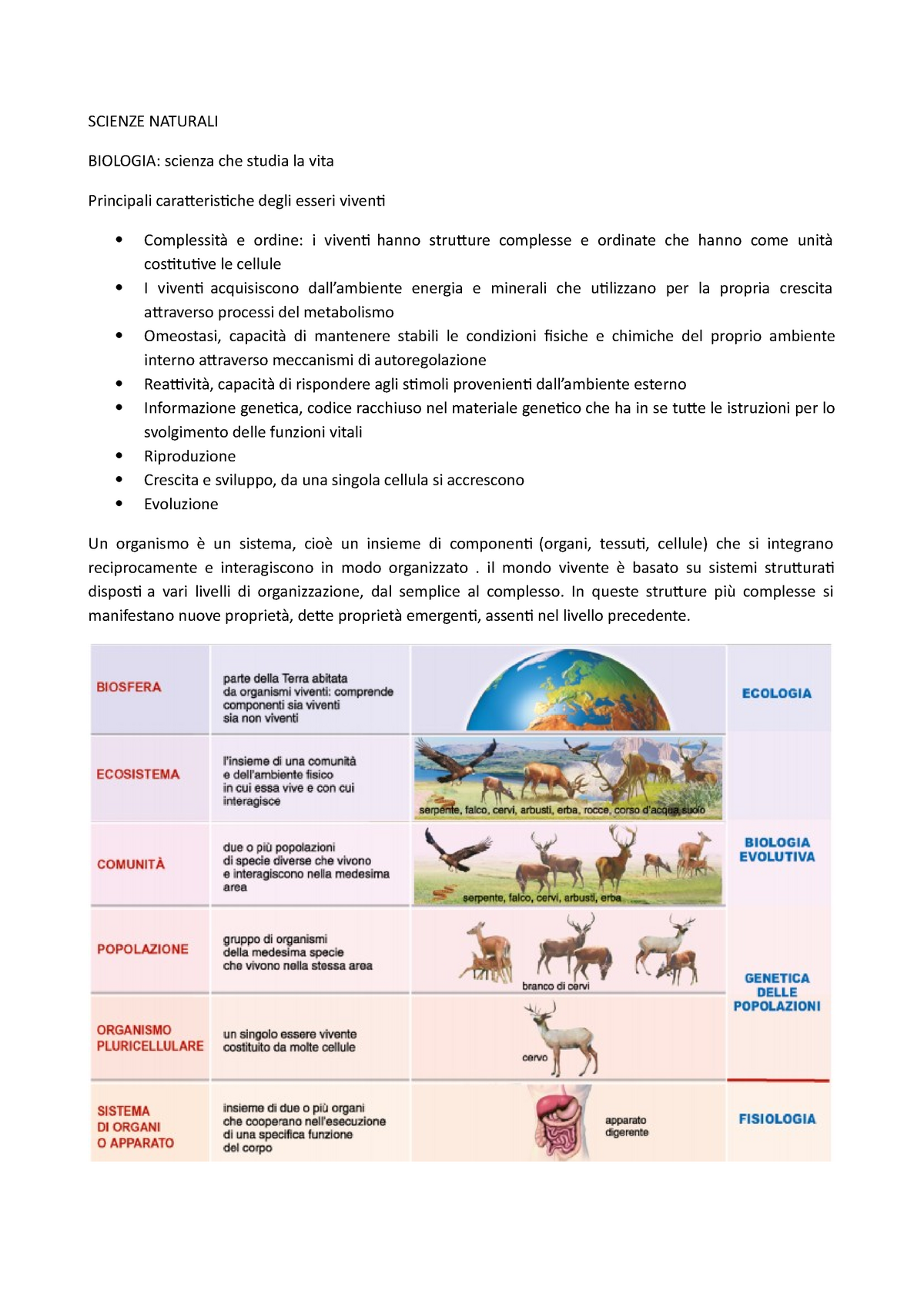 Scienze Naturali - SCIENZE NATURALI BIOLOGIA: Scienza Che Studia La ...