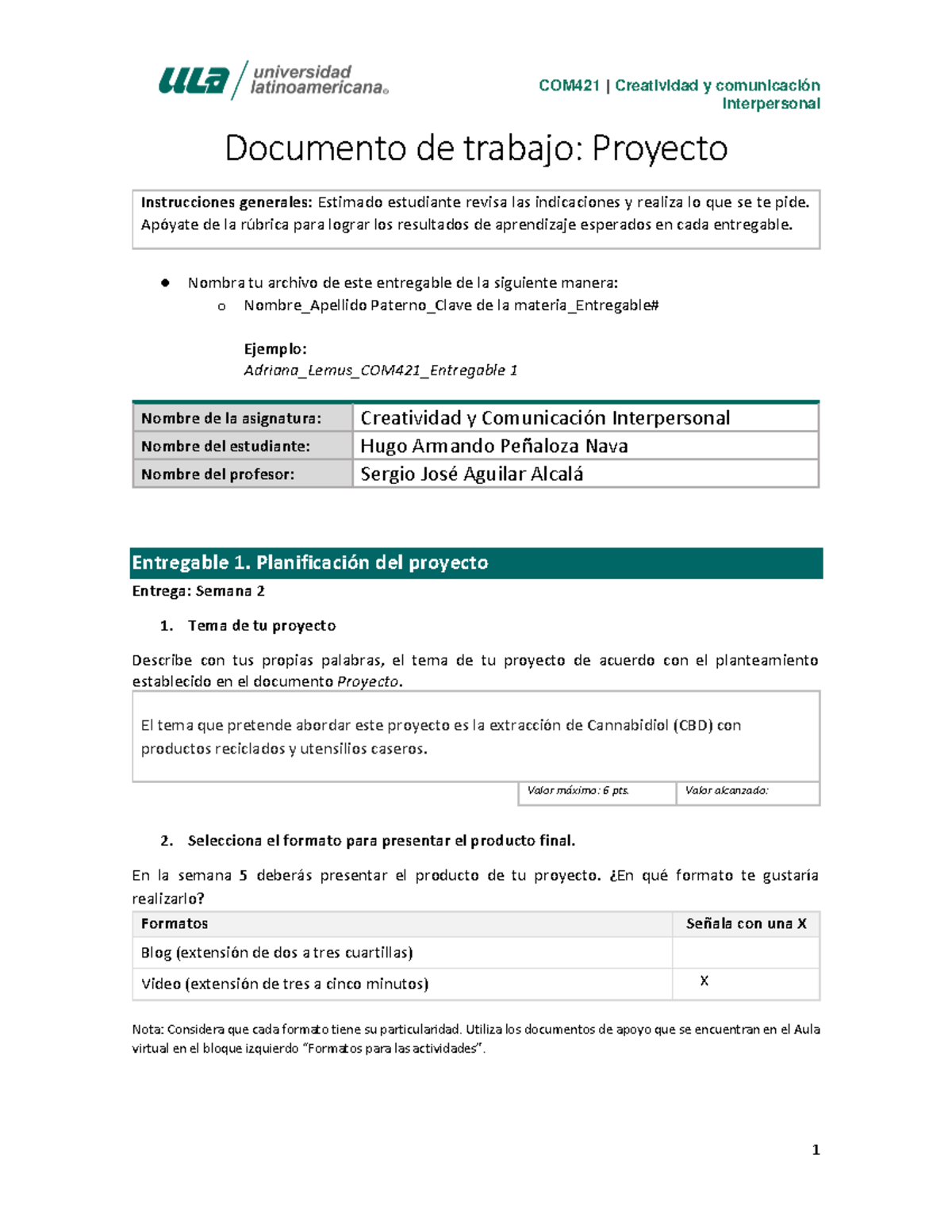 COM421 Entregable 1 - interpersonal Documento de trabajo: Proyecto ...