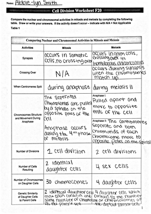 Cell Division Worksheet - BIO-181L - StuDocu