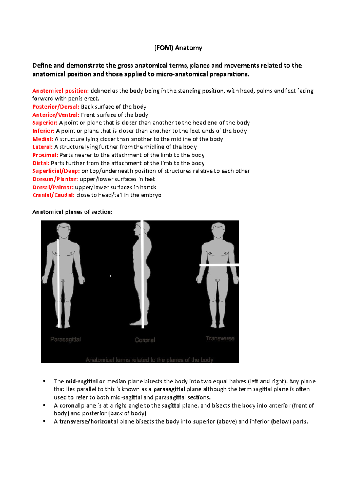 fom-anatomy-notes-fom-anatomy-define-and-demonstrate-the-gross