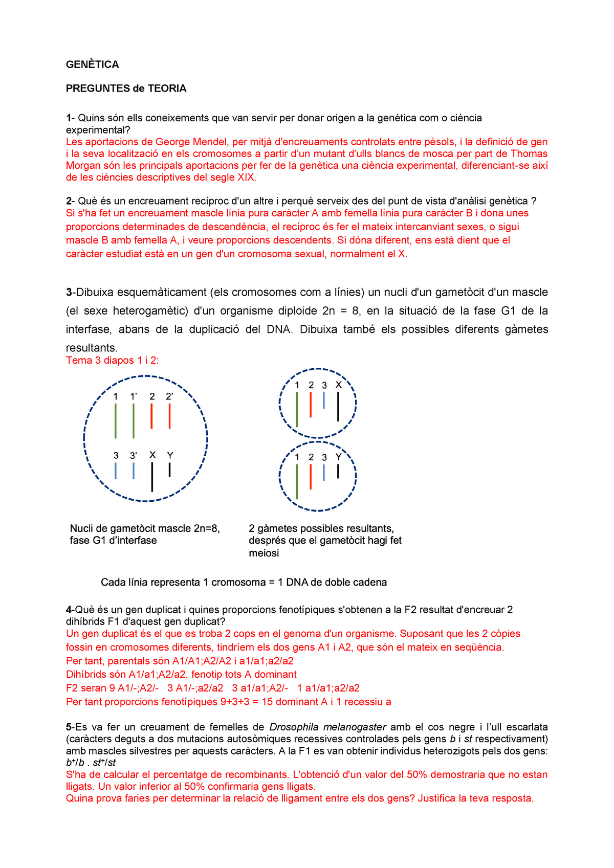 Examen Abril Preguntas Y Respuestas Gen Tica Preguntes De Teoria Quins S N Ells