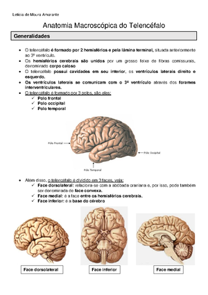 Formação reticular - Neuroanatomia - RESUMO – NEUROANATOMIA **Baseado ...