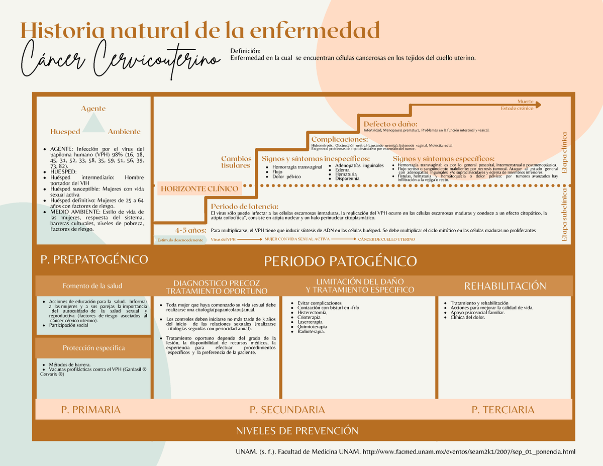 Historia Natural De La Enfermedad Cuadros Historia Natural De La