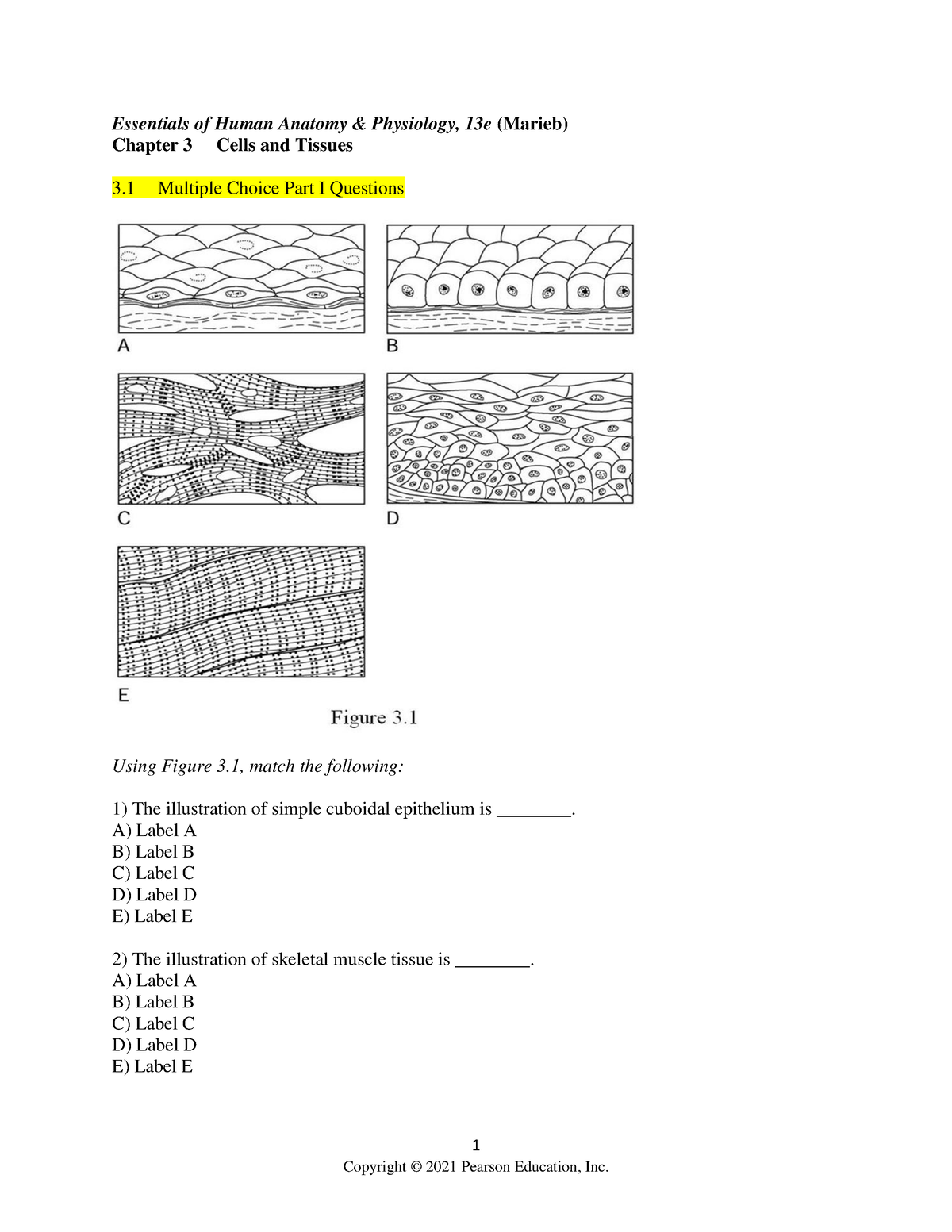 Cells And Tissues Revision Q&A-1 - 1 Essentials Of Human Anatomy & Physiology, 13e (Marieb ...