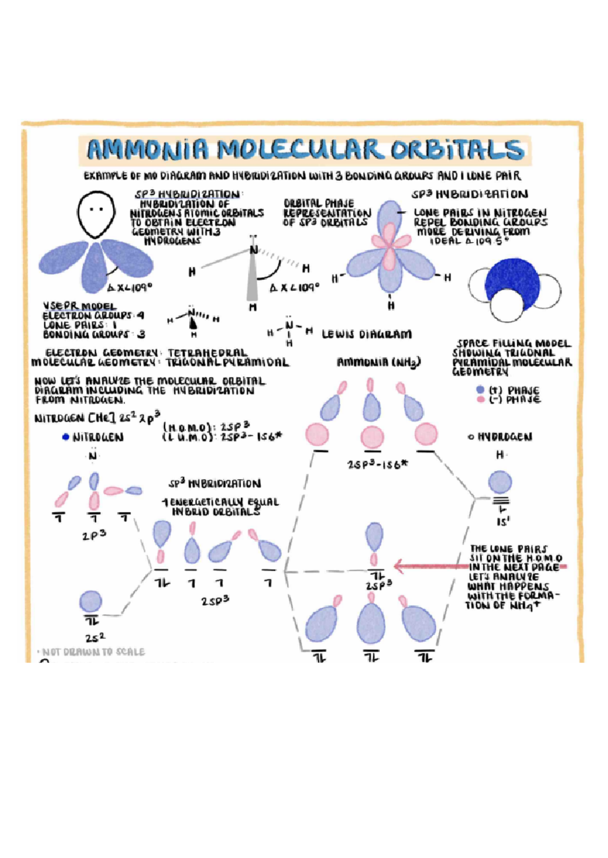 Ammonia Molecular Orbitals - AMMONIA MOLECULAR ORBITALS EXAMPLE OF MO ...