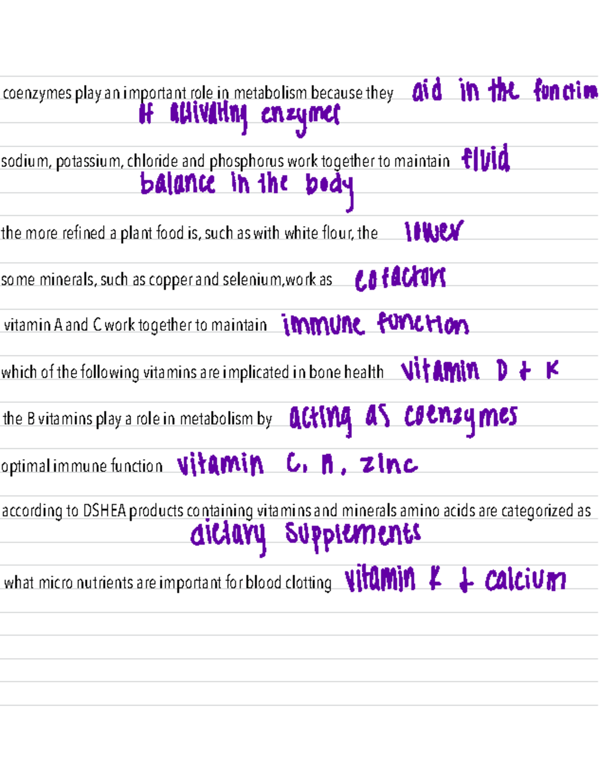 Workbook 8 - NOTES - coenzymes play an important role in metabolism ...