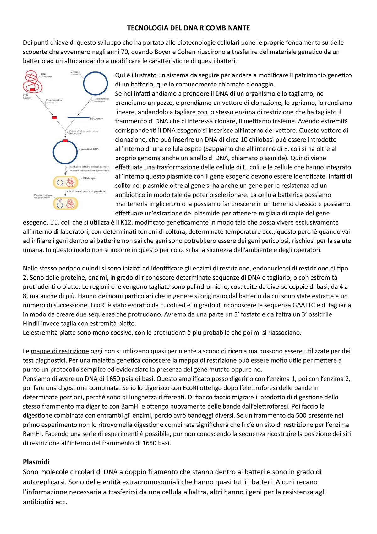 mappa del DNA plasmidico