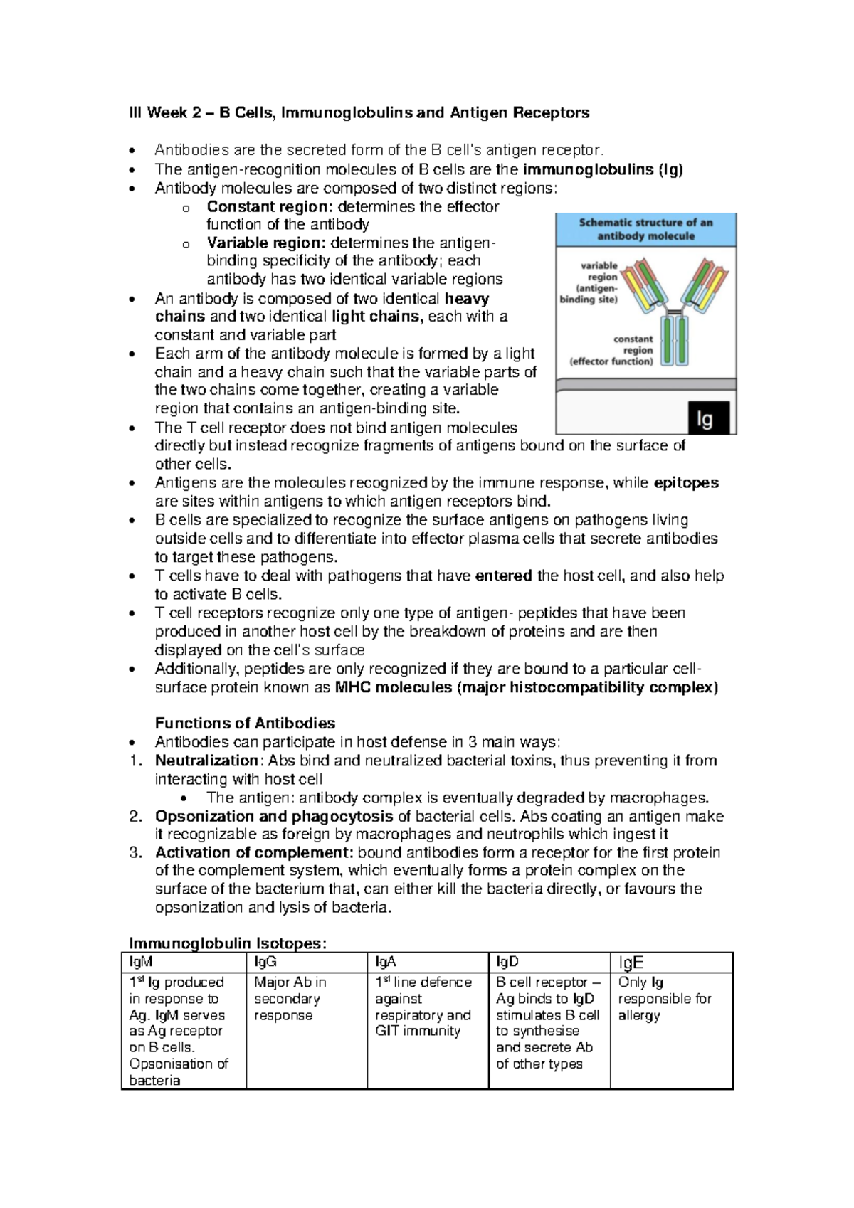 Iii Week 2 - B Cells - III Week 2 – B Cells, Immunoglobulins and ...