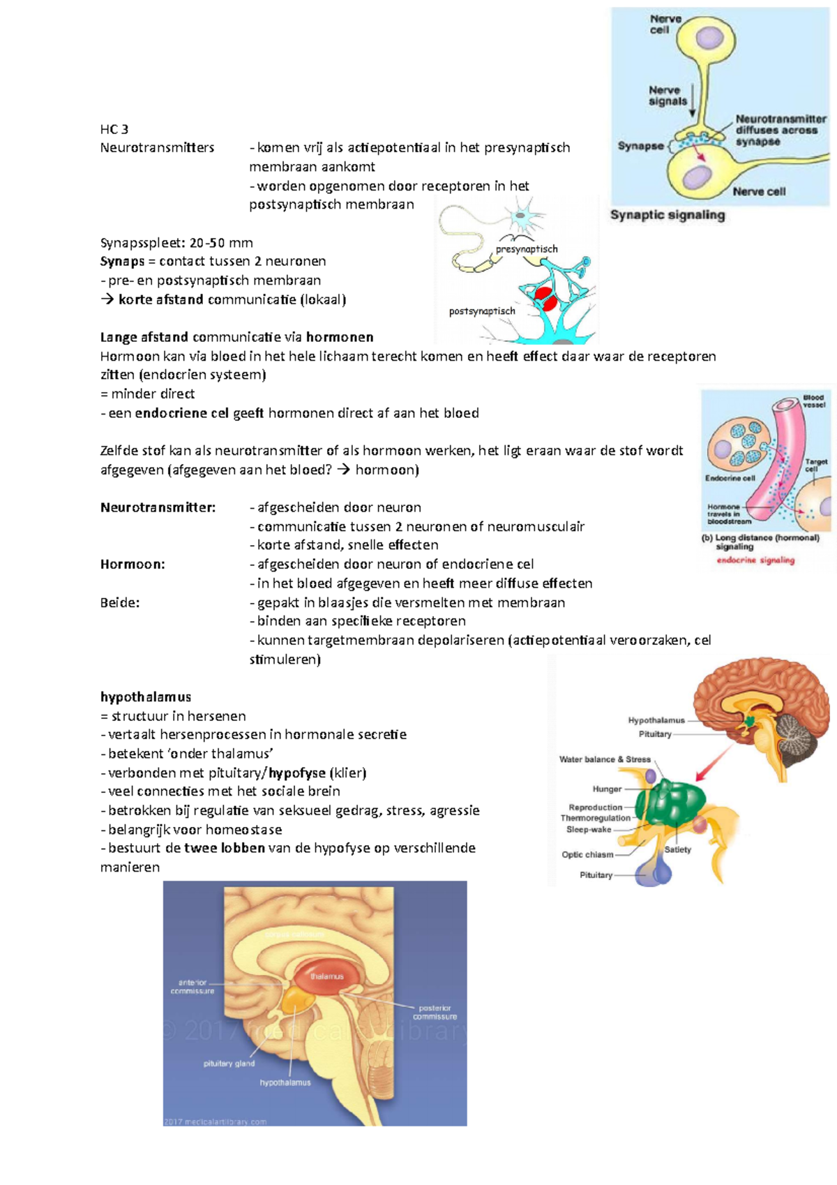 Hc Neurobiologische Achtergronden Van Opvoeding En Ontwikkeling Hc Neurotransmitters