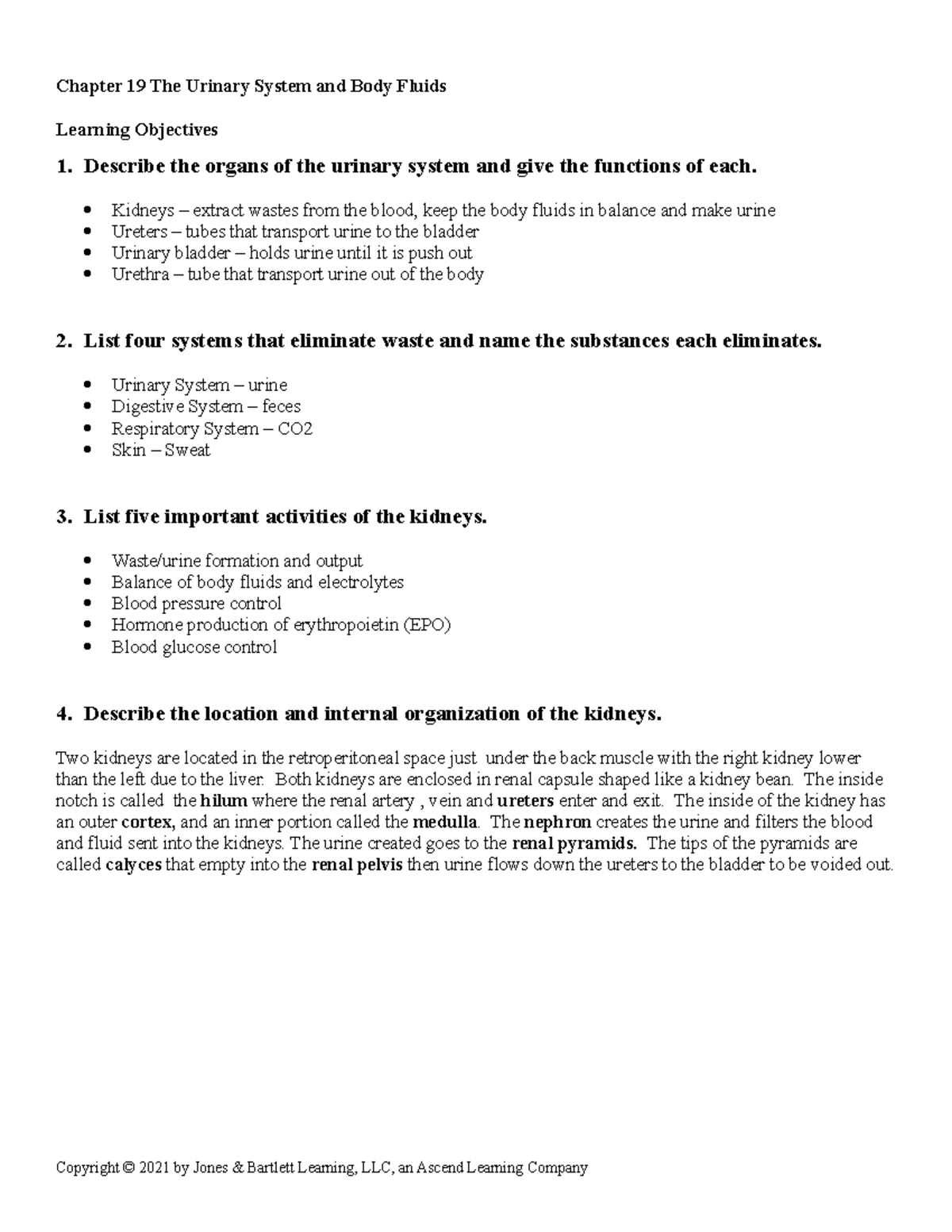 Chap 19 The Urinary System and Body Fluids - HSC208 - Jersey College ...