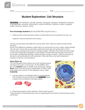 Activity+2-+Cell+Types+and+Modifications - ACTIVITY 2 Cell Types and ...