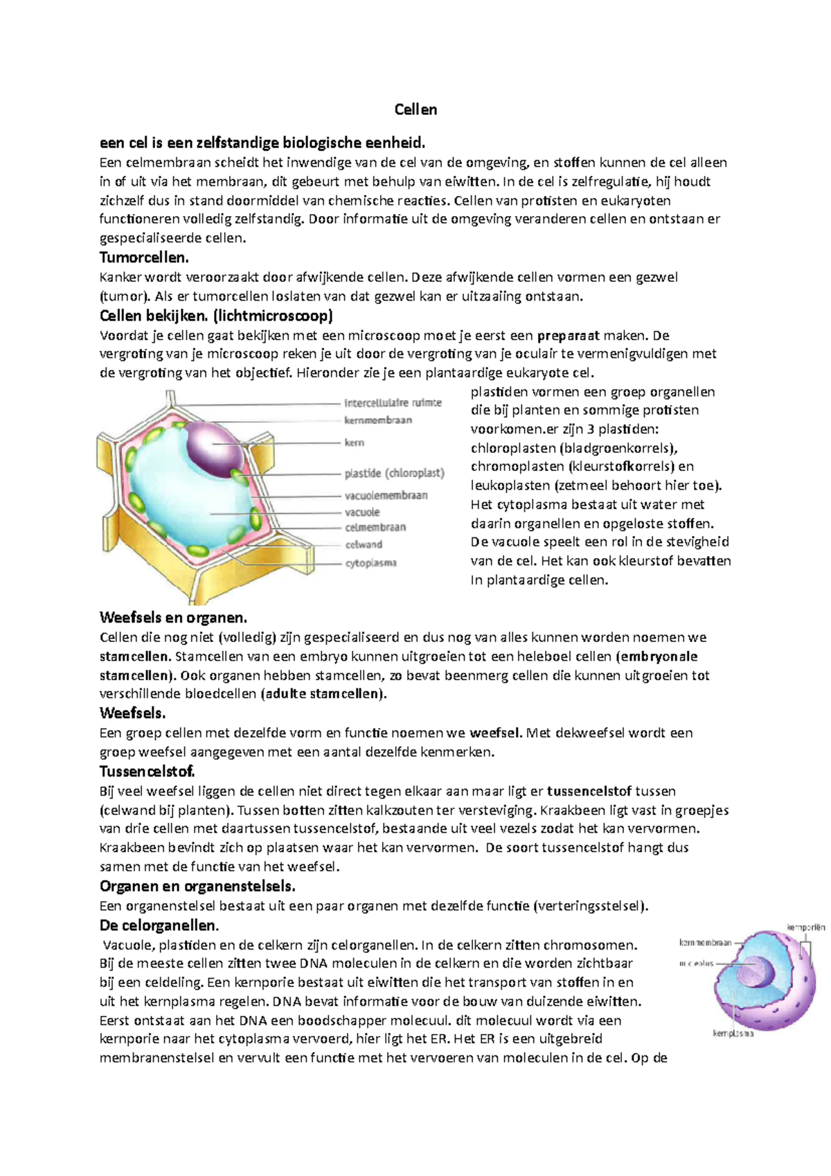 Cel Samenvatting Bio V5E - Cellen Een Cel Is Een Zelfstandige ...