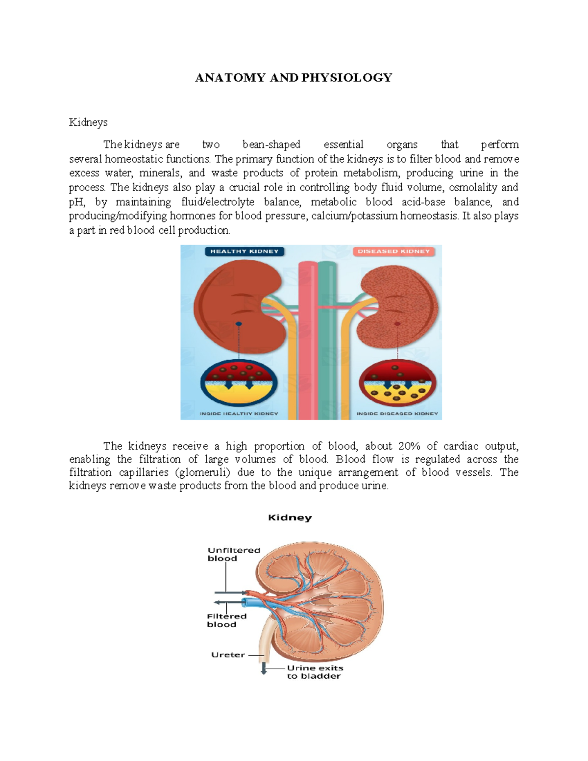 ckd case study scribd