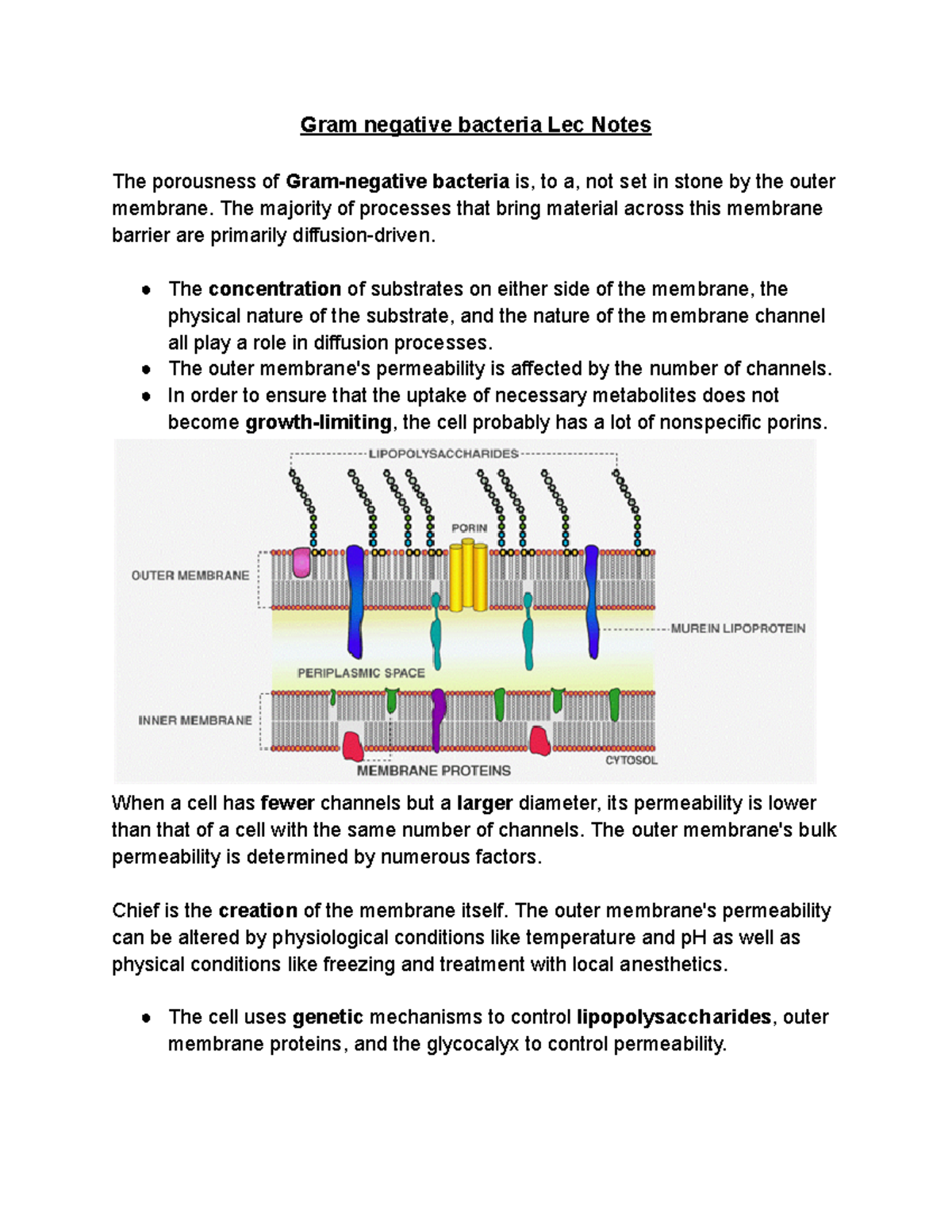 Gram negative bacteria Lec Notes - The majority of processes that bring ...