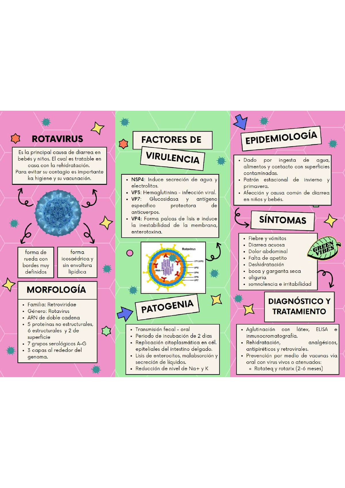 Rotavirus tríptico Microbiología Studocu