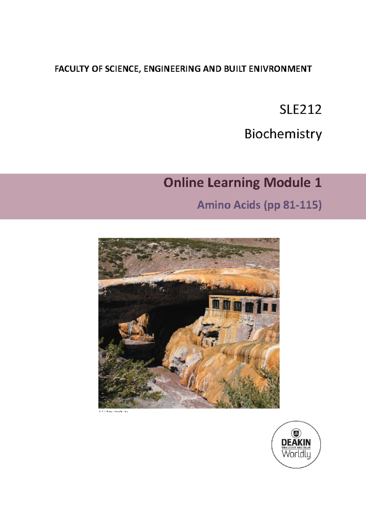 OLM1 Amino Acids 2022 - Provide some details about the online learning ...