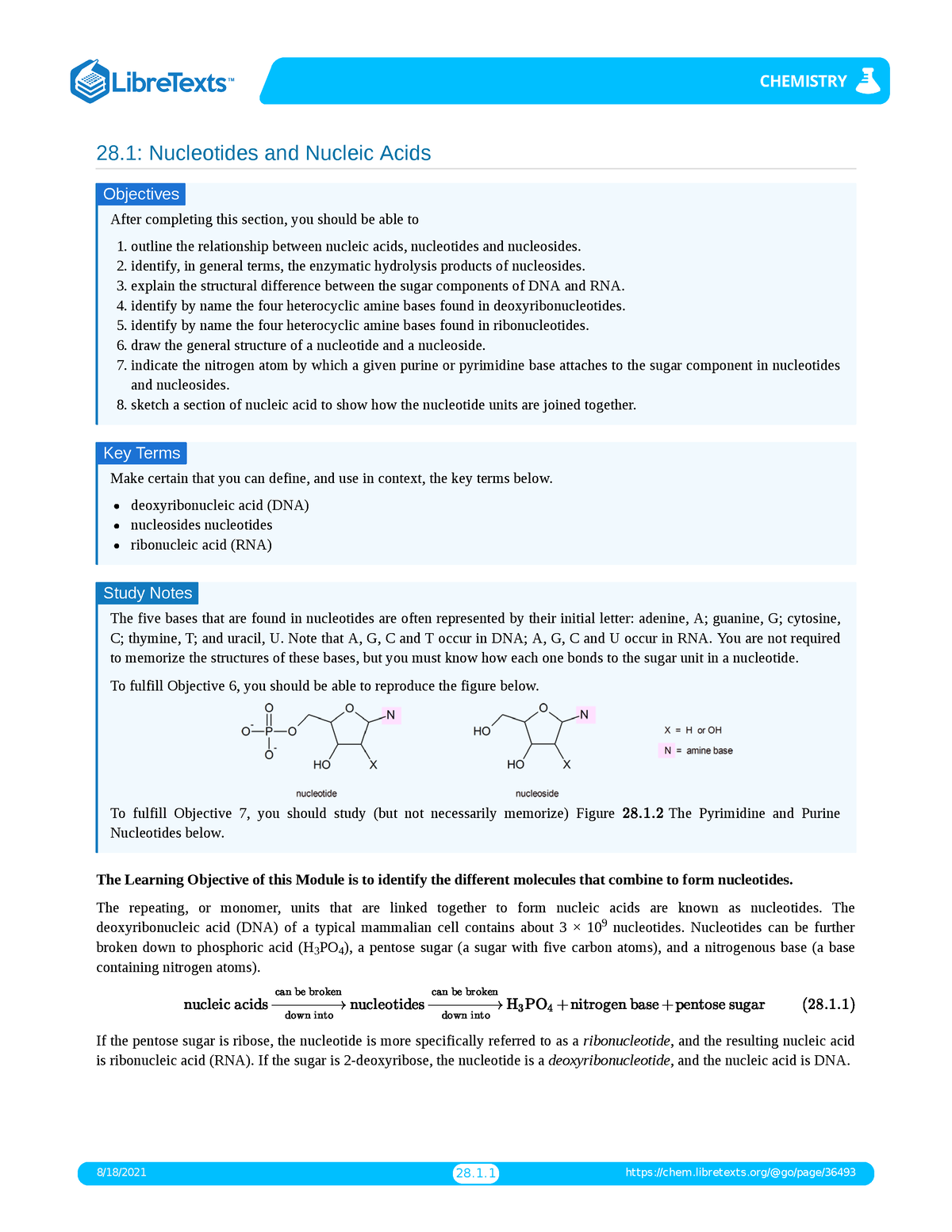 Nucleotides Nucleotides - 28: Nucleotides And Nucleic Acids After ...