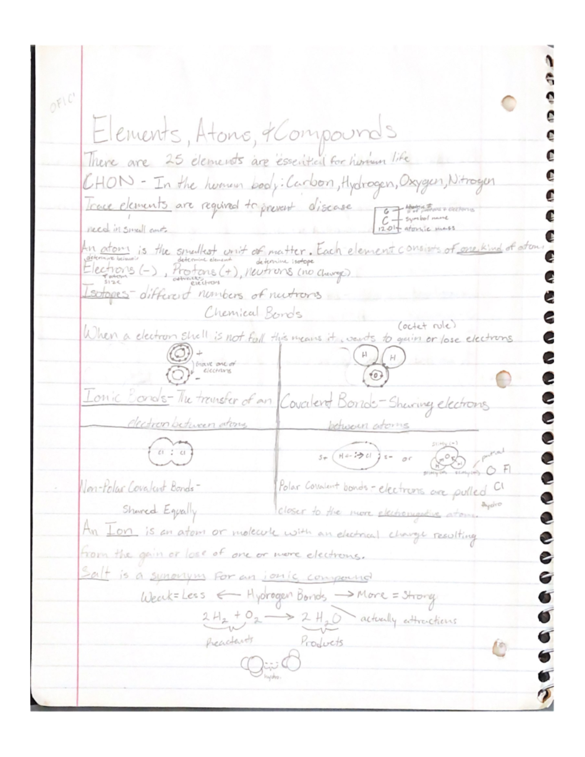 Biology Notes 1408/1409 - BIOL 1408 - Studocu