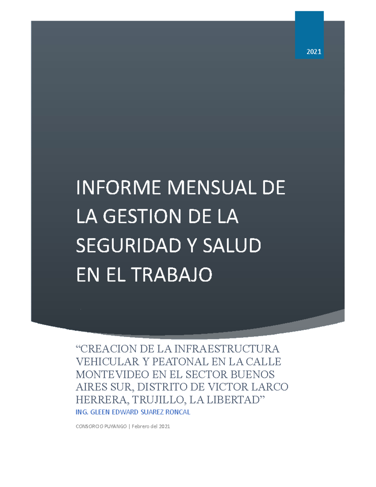 1- Informe Seguridad Y Salud EN EL Trabajo Febrero - INFORME MENSUAL DE ...