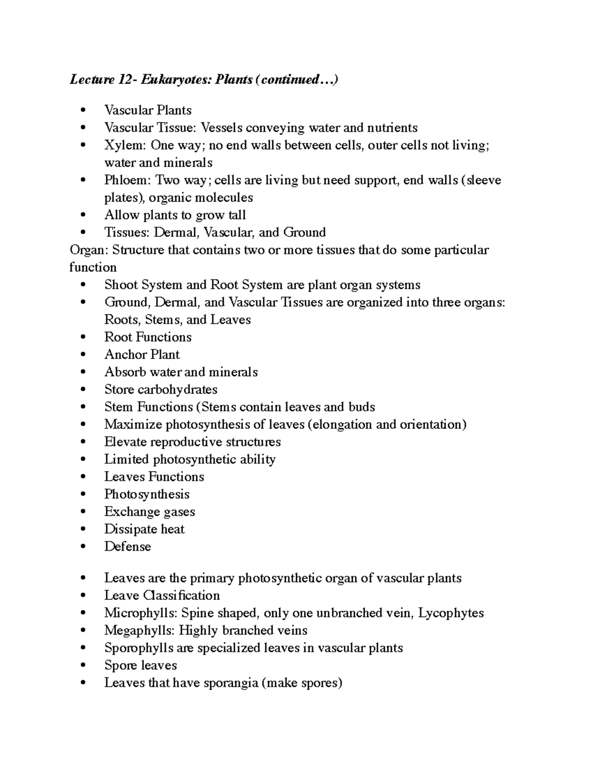 Vascular Plants Examples For Kids