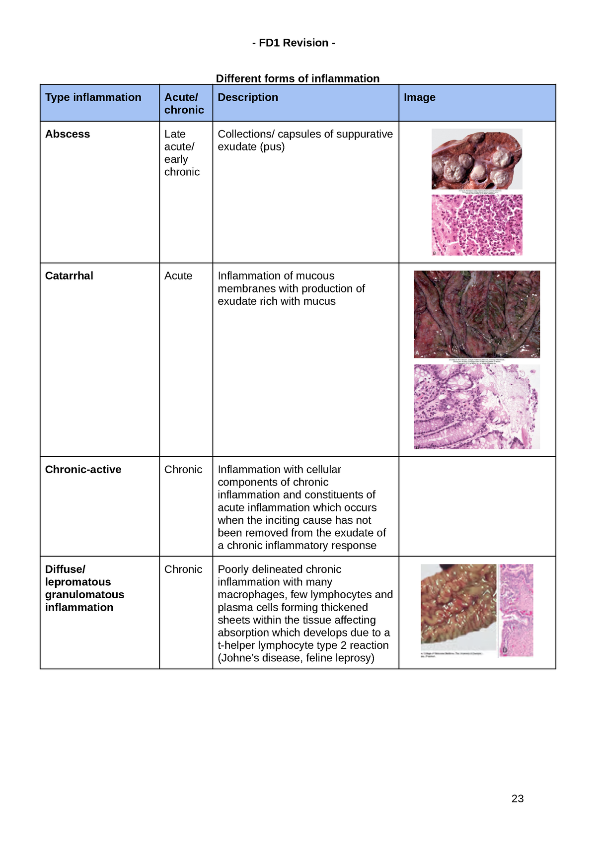 FD1 Inflammation Revision - FD1 Revision - Different forms of ...