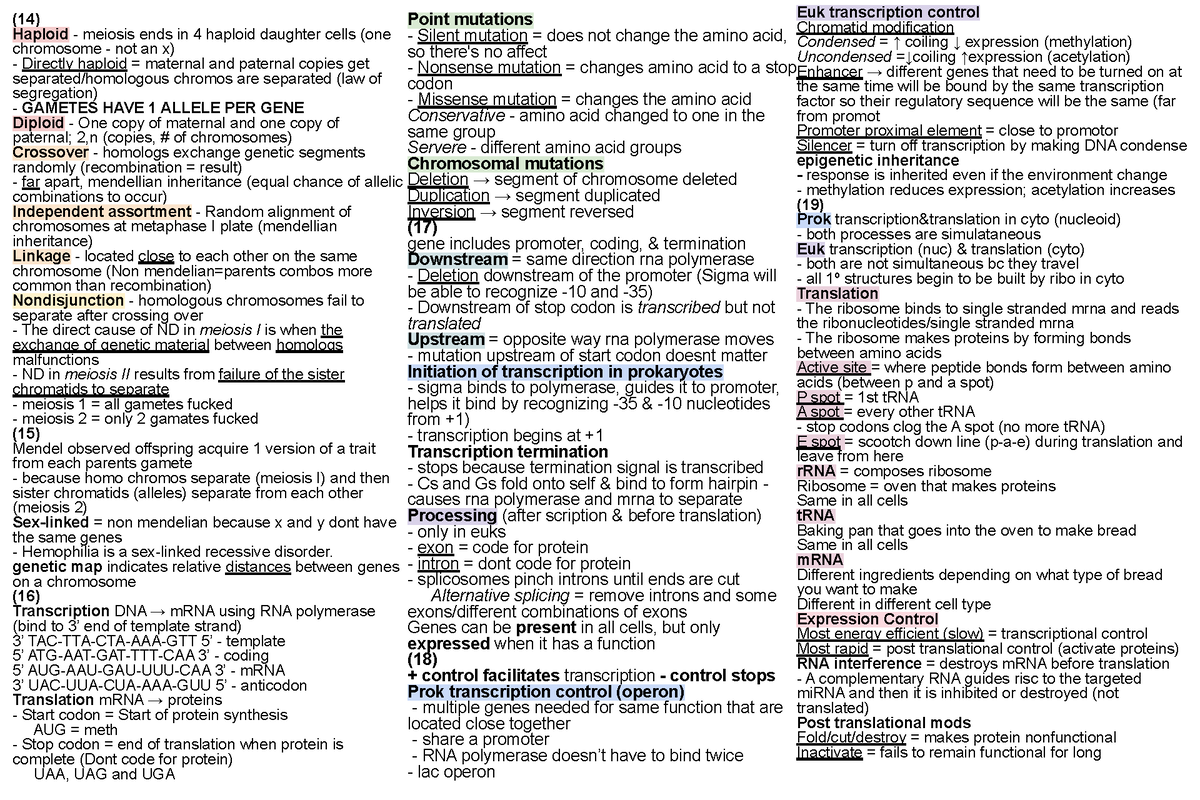 Exam 3 note card - Summary Molecular Biology - (14) Haploid - meiosis ...