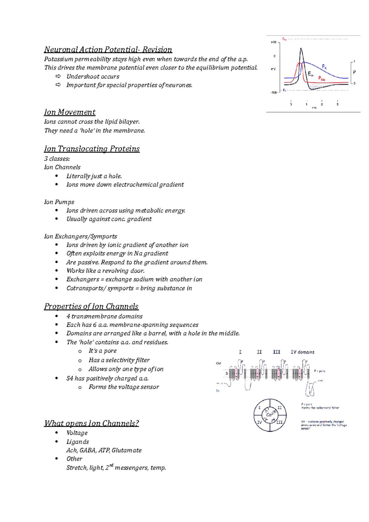 Neuronal Action Potential - This drives the membrane potential even ...