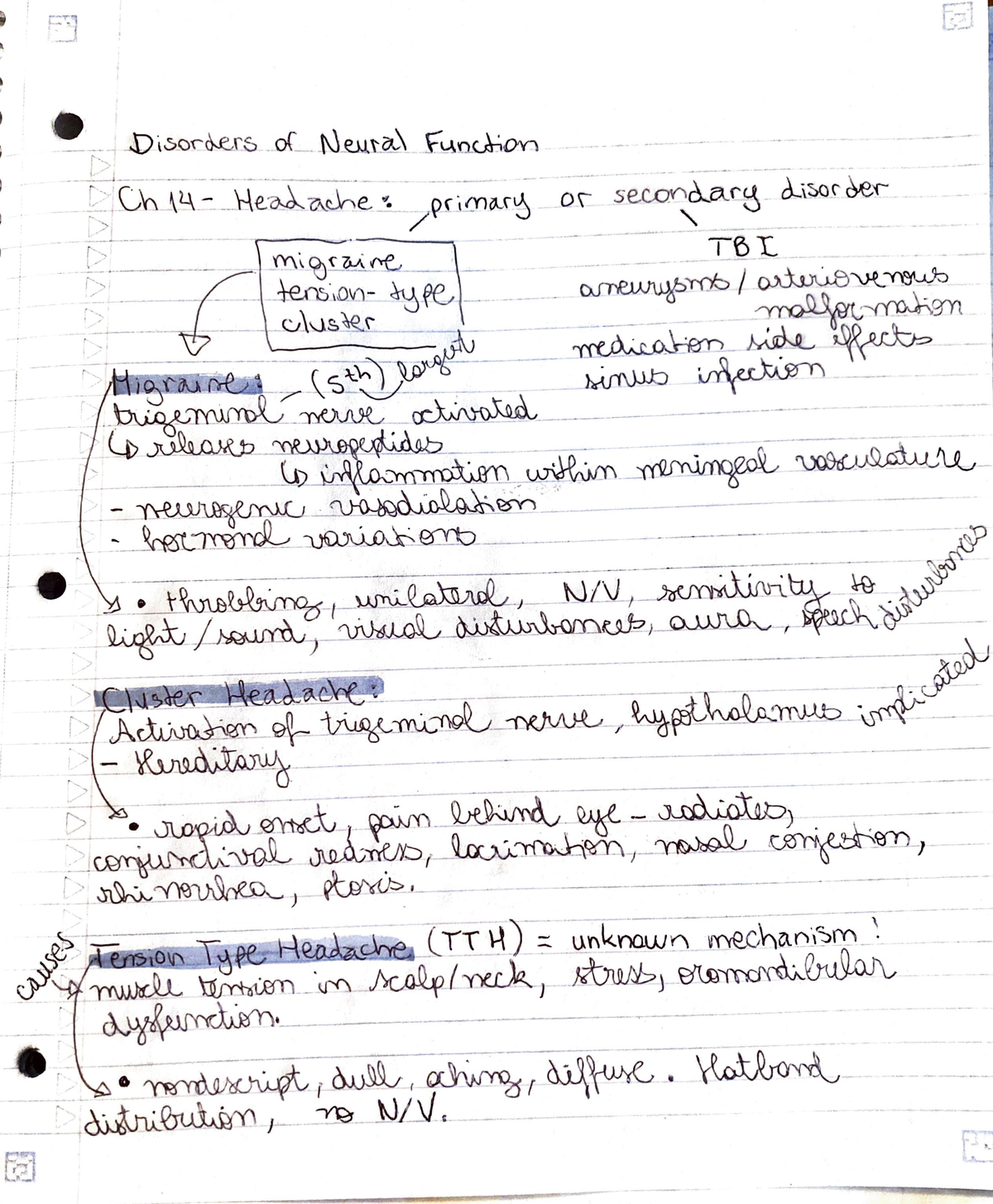 Patho Notes 1 - Disorders Of Neural Function - NUR 3125 - [: .- F '· B ...