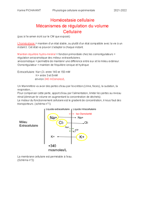 Boucle De Rétroaction Négative - Boucle De Re Troaction Ne Gative : En ...