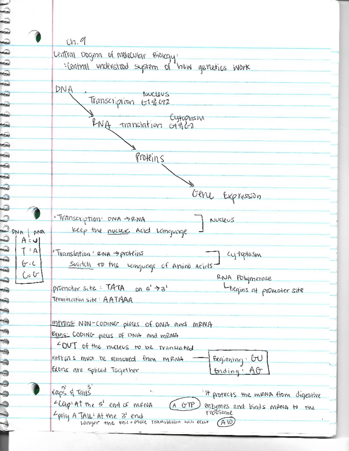 Bot part 1 - Notes from class slides - k E .IIE. __-__ _ _ “a (.W We ...