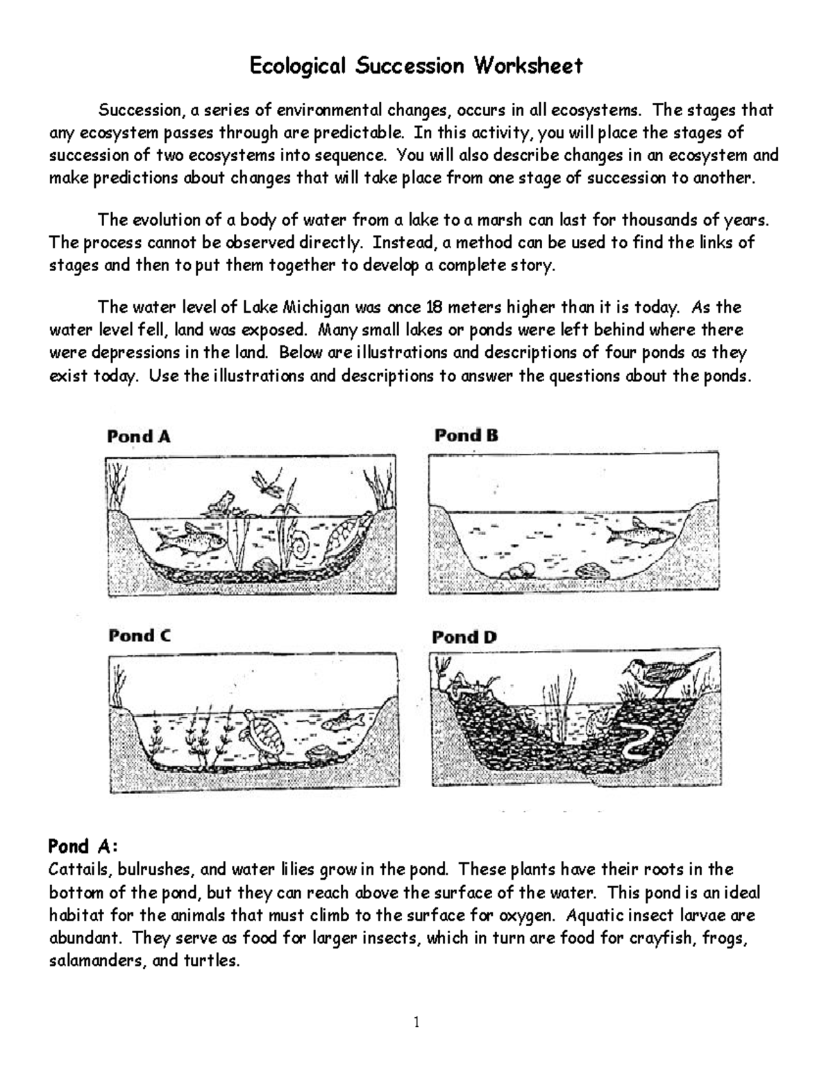 ecological-succession-worksheet-ecological-succession-worksheet