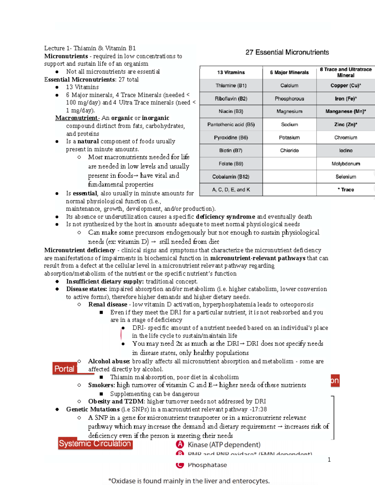 Advanced Nutrition 2 Spring 2020- Exam 1 - Lecture 1- Thiamin & Vitamin ...