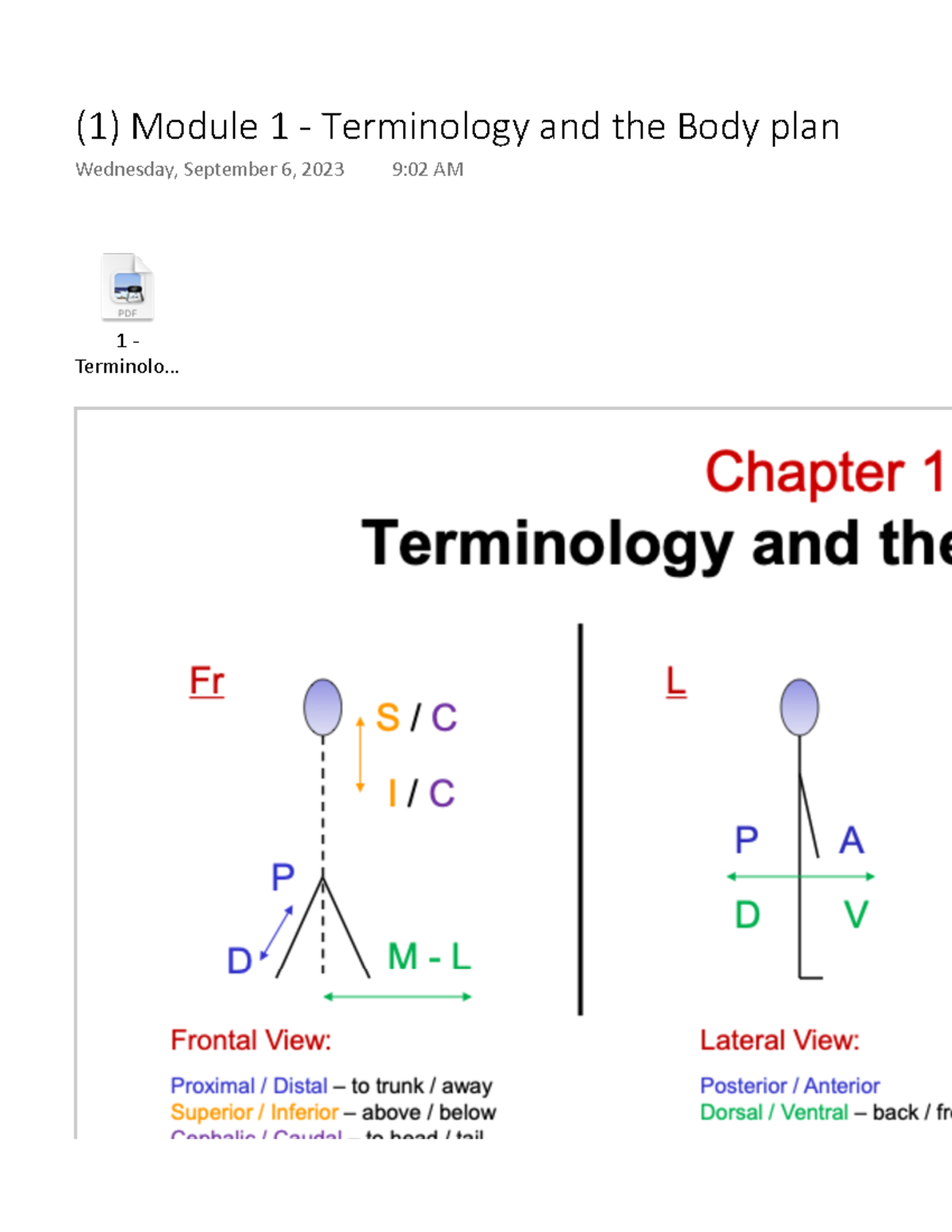 Module 1 - Terminology And The Body Plan - 1 - Terminolo... (1) Module ...