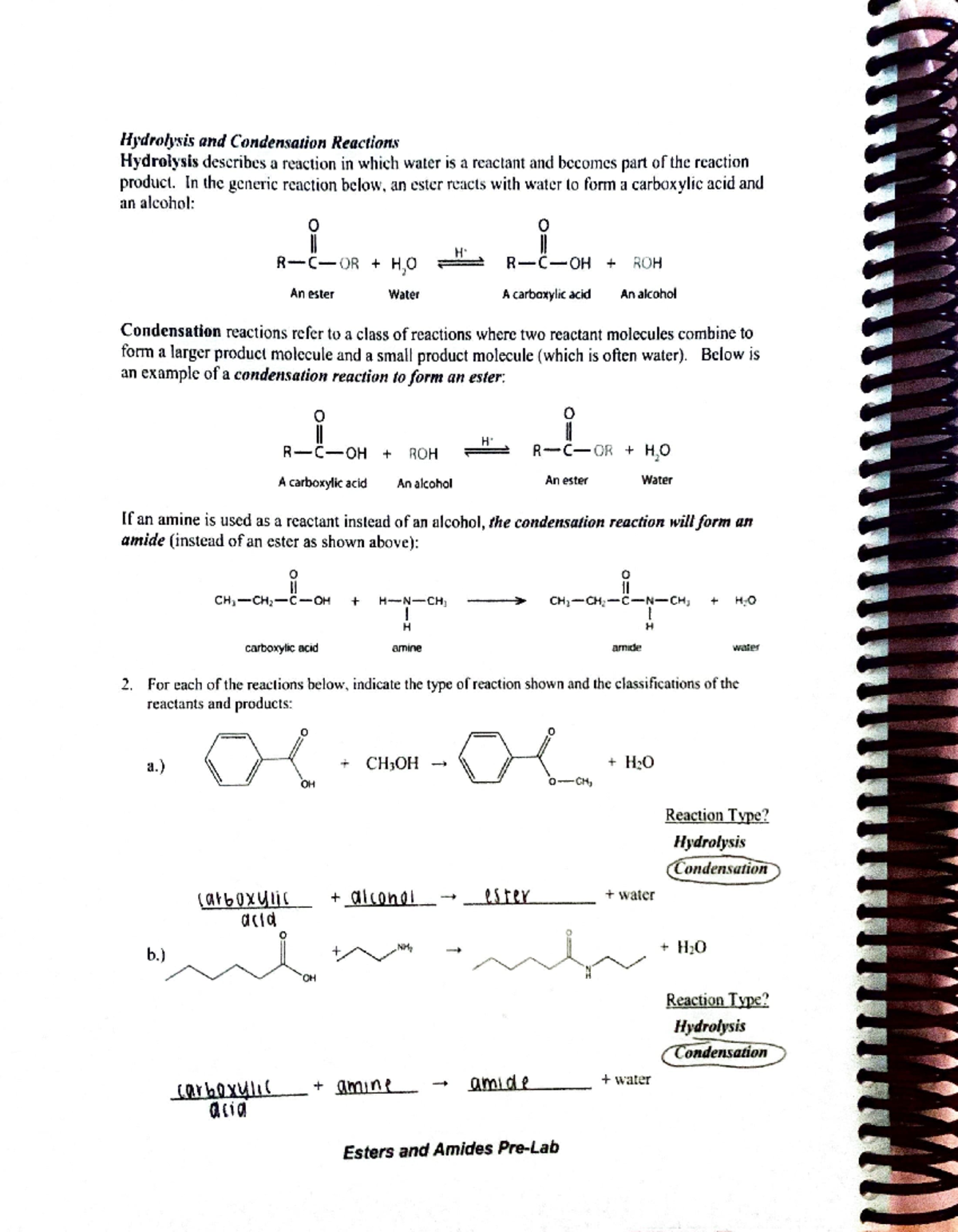 Lab 5: Esters and Amides - Hydrolysis and Condensation Reactions ...
