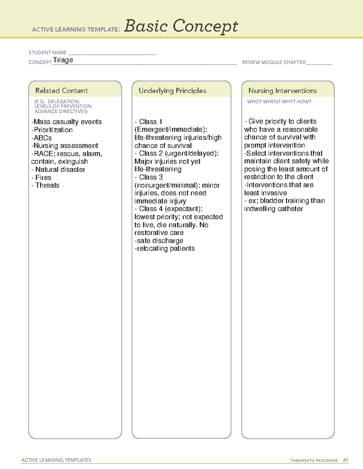 CHNremediation triage - ACTIVE LEARNING TEMPLATES THERAPEUTIC PROCEDURE ...