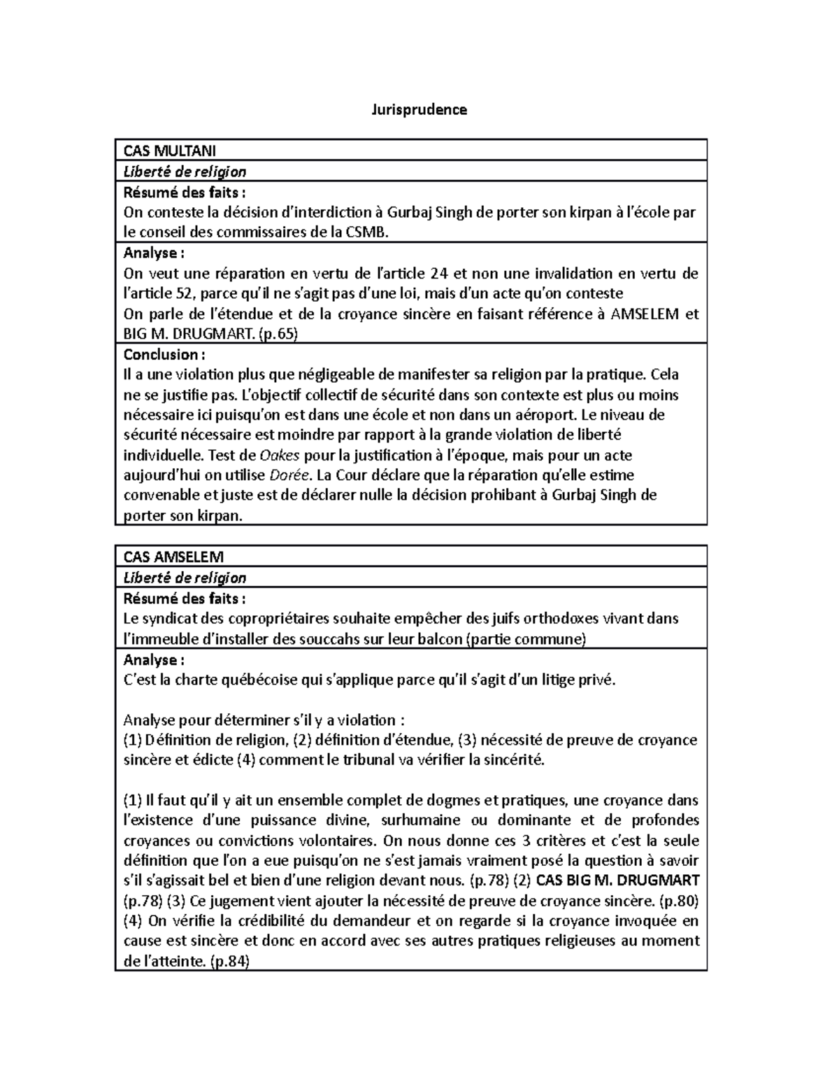 jurisprudence droit constitutionnel studocu