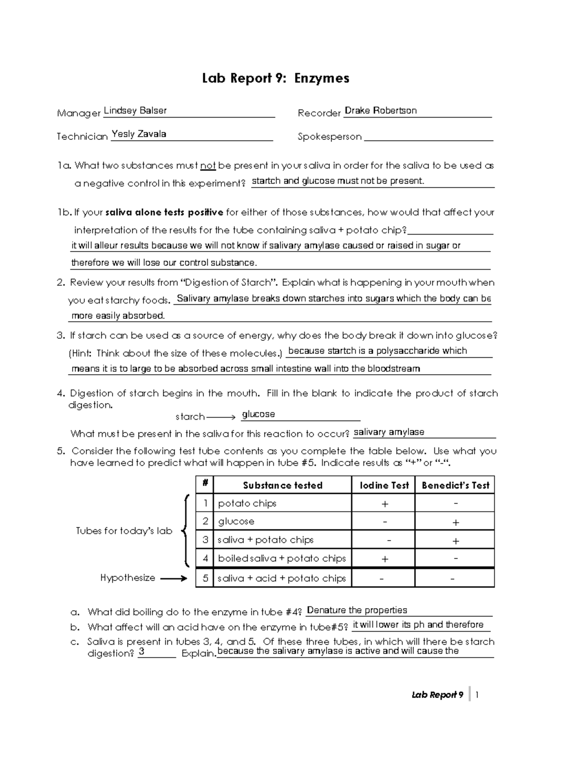09 Lab Report 9 Enzymes Lab Report 9 1 Lab Report 9 Enzymes Manager