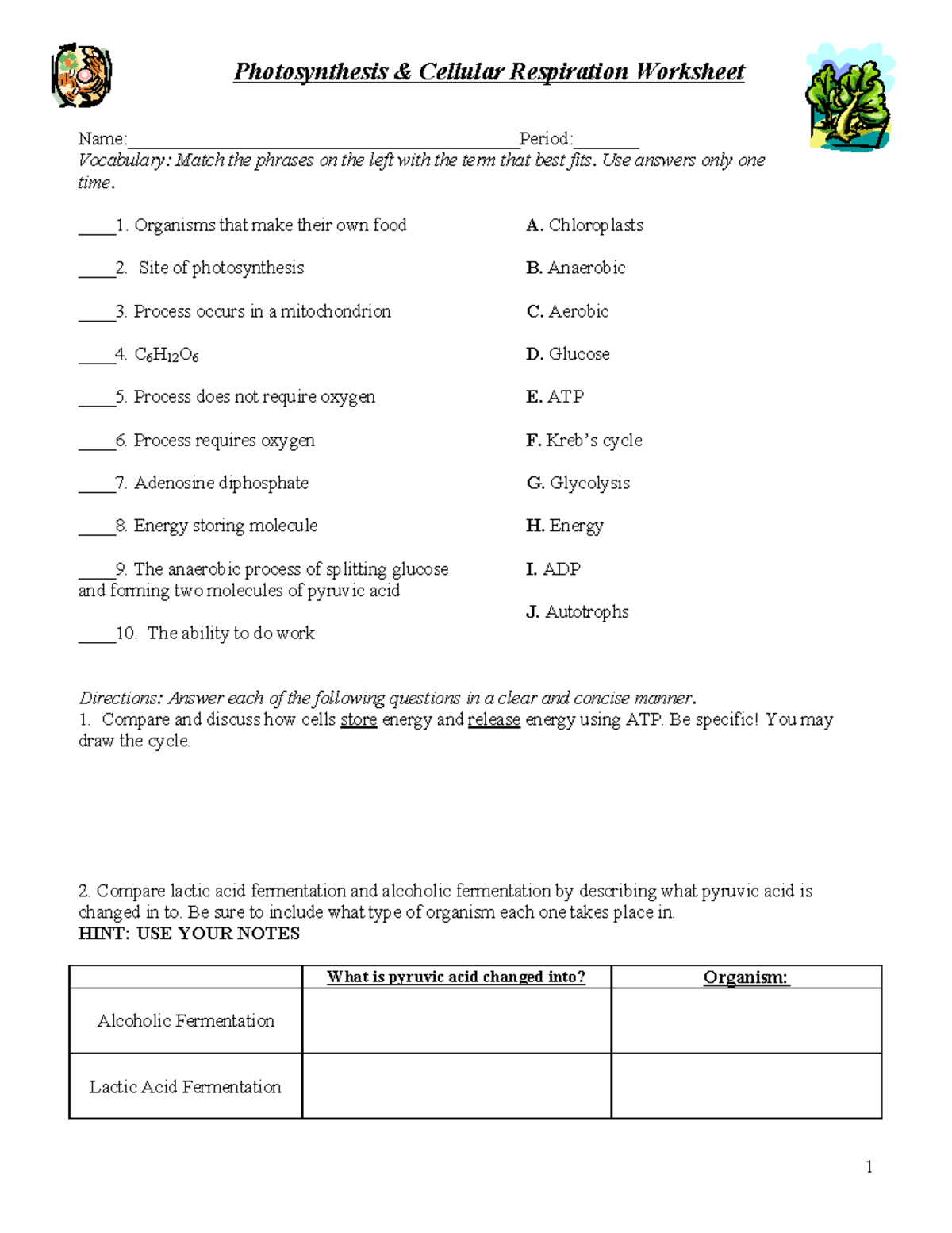 Photosynthesis and Cellular Respiration Worksheet - 1 Photosynthesis