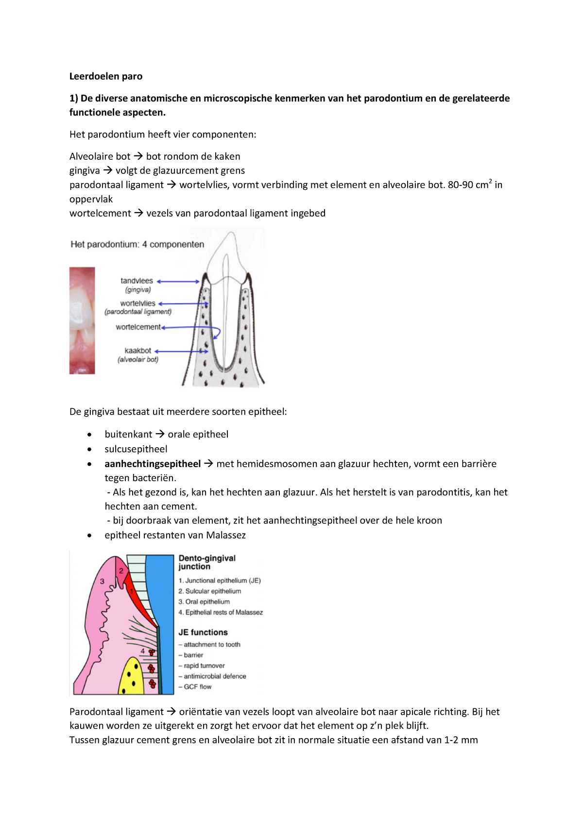 Samenvatting Parodontitis I Leerdoelen 1 13 Parodontitis Studeersnel