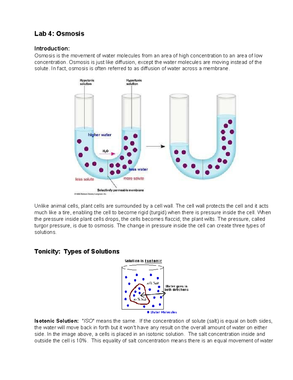 Osmosis Lab 4 - Lab work - Lab 4: Osmosis Introduction: Osmosis is the ...