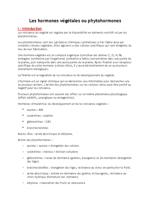 Les Mutations Chapitre Chapitre Mutation Et R Paration I Introduction On Sait Que La